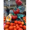 Tomates de Viña Del Valle del Alagón