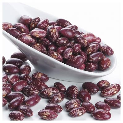 Alubia Roja Tolosana-Palmeña Extra 1 KG