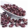 Alubia Roja Tolosana-Palmeña Extra 1 KG