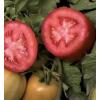 TOMATE EXTREMEÑO 1 KGS 