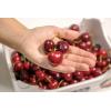Caja de 2 Kg de Cerezas serie Oro con rabo