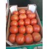 Tomates de Viña Del Valle del Alagón