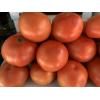 Tomates de Viña Del Valle del Alagón